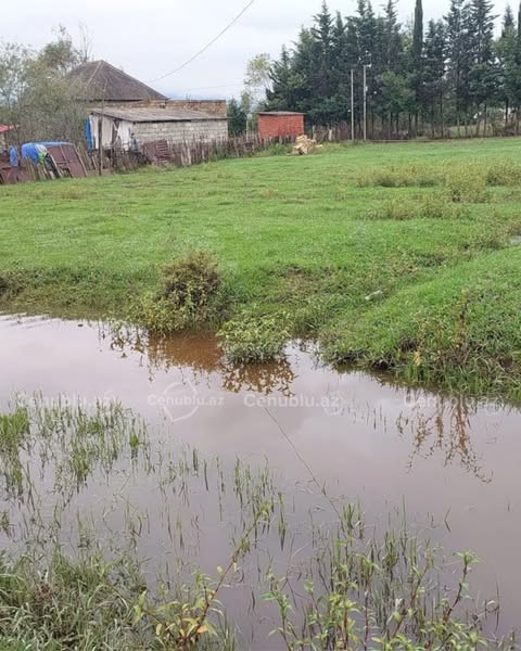 556958303 1724542528346383 5006911044819012415 n.jpg?stp=dst jpg s600x600 tt6& nc cat=105&ccb=1 7& n.jpg