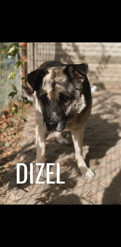 G2INeP6XMAA3 Ph.jpg