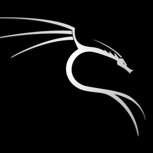 technology kali linux linux hacker 1241584.jpg