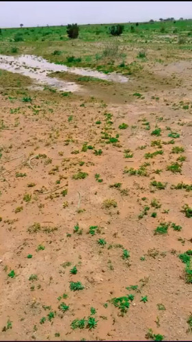 La8BtBy wWNDfei8.jpg