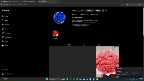 Screenshot 73.2