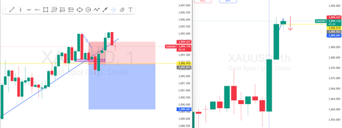 Screenshot 2025 10 01 111450.png