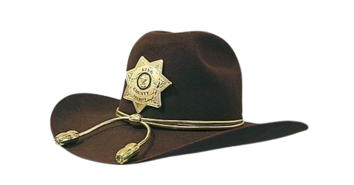 image 2025 10 01 170505488.png