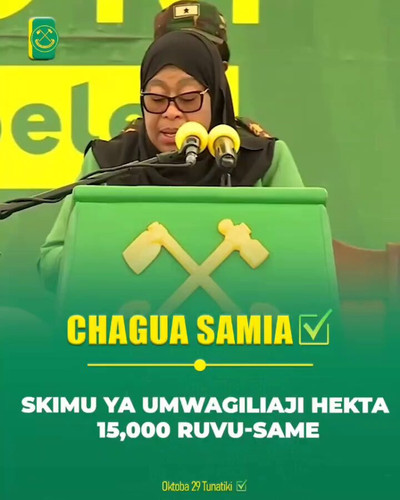 K6n41Cg0iXm45VCl.jpg