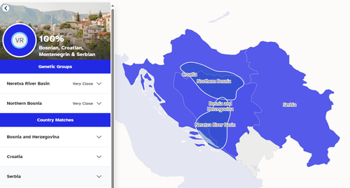 Rakic SI bosna.png