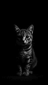images (74).gif