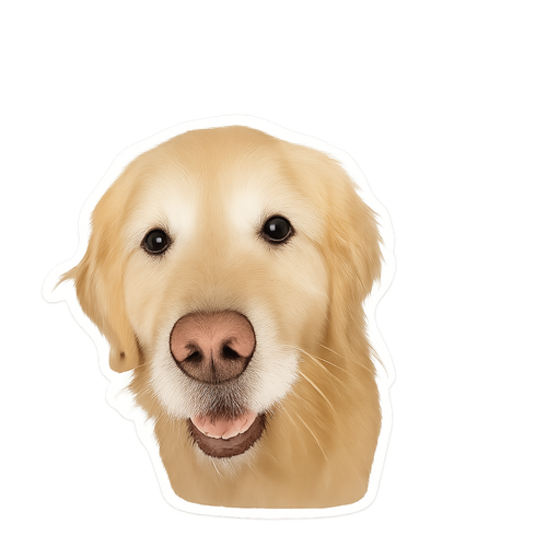 IMG 0083.png