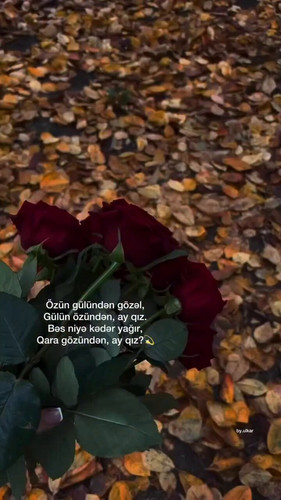 P9qYE06pWwHp8c0d.jpg