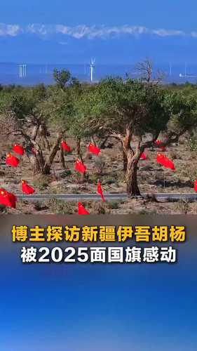 Df0d Z39EsDDrNxf.jpg