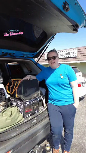 LsP AYHLrXHV Xvu.jpg