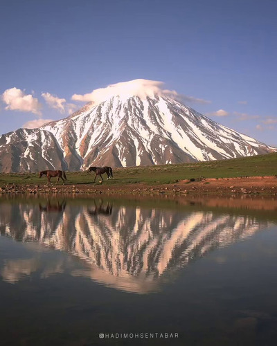 4zEvK mS89nJHWkV.jpg