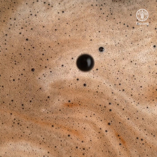 khi6paEtTSG UTMX.jpg