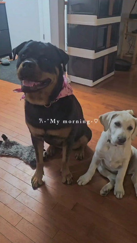 VAL4rlw lwhO6J1s.jpg