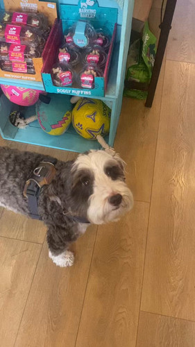 nPUbIT cFyYpEQDJ.jpg