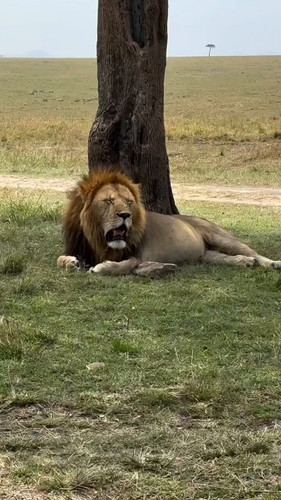 m0pjW6IP1fzMX q3.jpg