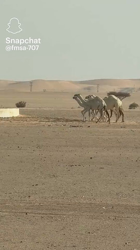 pfovc3 7C nC6Ol6.jpg