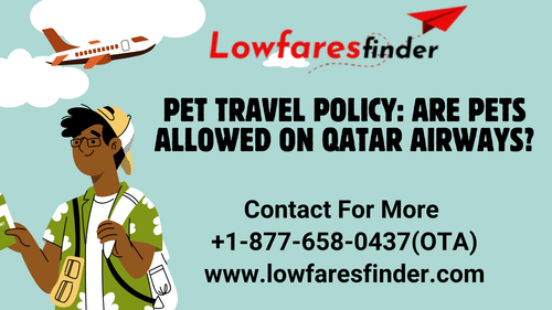 Pet Travel Policy Are Pets Allowed on Qatar Airways.png