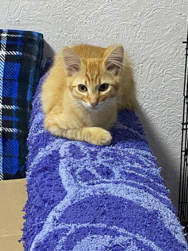 G2IExCkXIAAAD0L.jpg