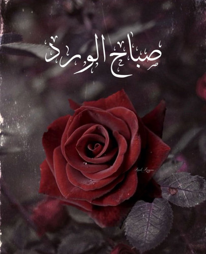 G2IQEYzXQAAdgNh.1