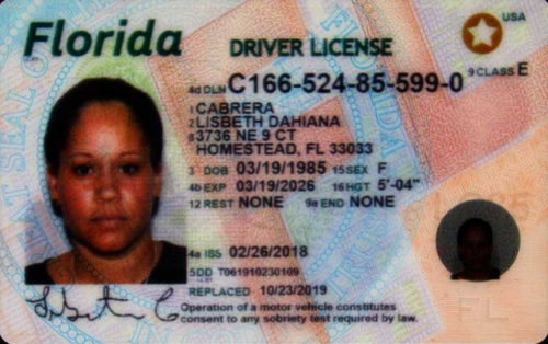 Lisbeth Dahiana Cabrera license image.png