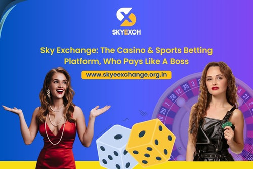 Sky Exchange: The Casino & Sports Betting Platform, Who Pays Like A Boss.1