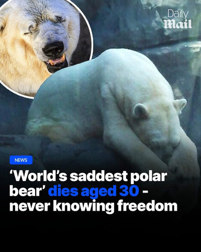 G2L9Y7FX0AAMIFE.jpg