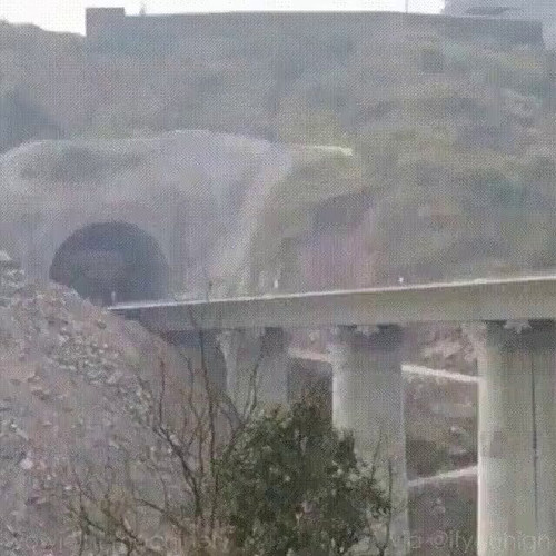 359wMdxJfcHaexmj.jpg