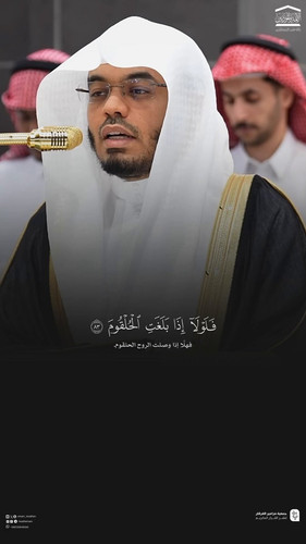 QMz5vhsN0ersy344.jpg