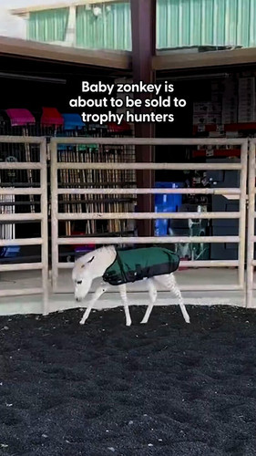 dQPMxz YlBCpZvrd.jpg