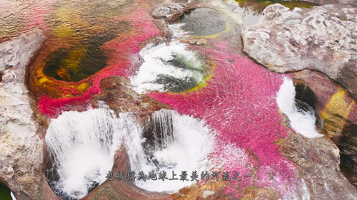 The.Green.Planet.E01 08