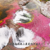 The.Green.Planet.E01 08