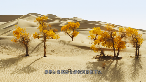 The.Green.Planet.E01 09