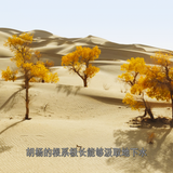 The.Green.Planet.E01 09