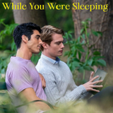 while you were sleeping page break.png