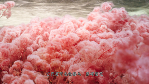 The.Green.Planet.E01 04.png