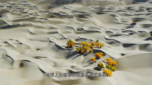 The.Green.Planet.E01 02.png