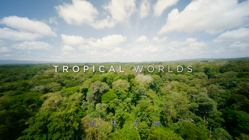 The.Green.Planet.E01 03