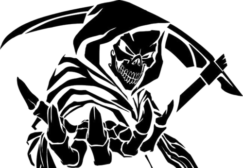 IMG 5910.png