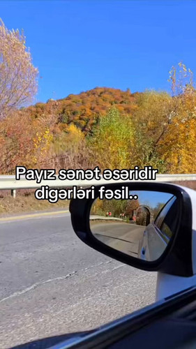4nKlLFQR5eSW 91n.jpg