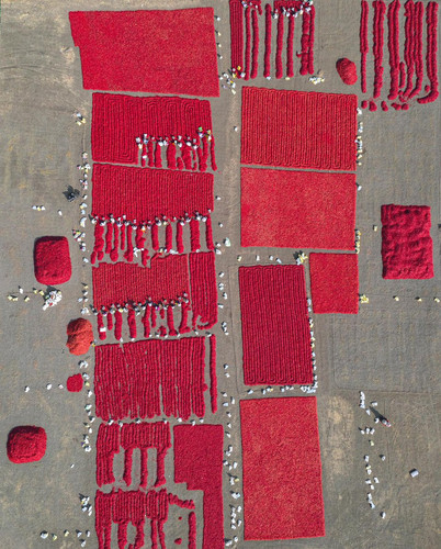 EvfT33BXMAcuyK ?format=jpg.jpg