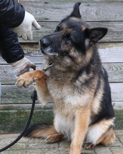 GX KfO7X0AAfQT1?format=jpg.jpg