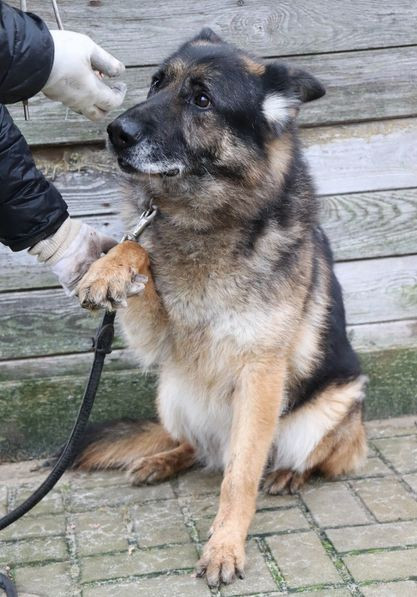 GX OVOUWoAAkYYR?format=jpg.jpg