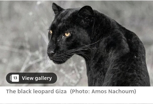 G2JhcqZWUAA55m4.jpg