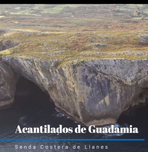 Captura de pantalla 2025 10 01 235950.png