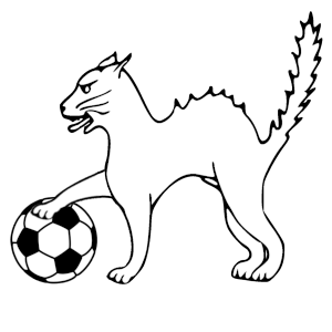 Xati.png