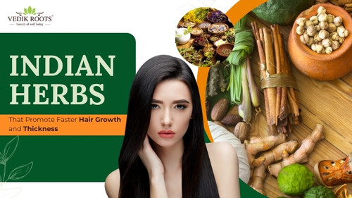 Indian Herbs That Promote Faster Hair Growth and Thickness.jpg