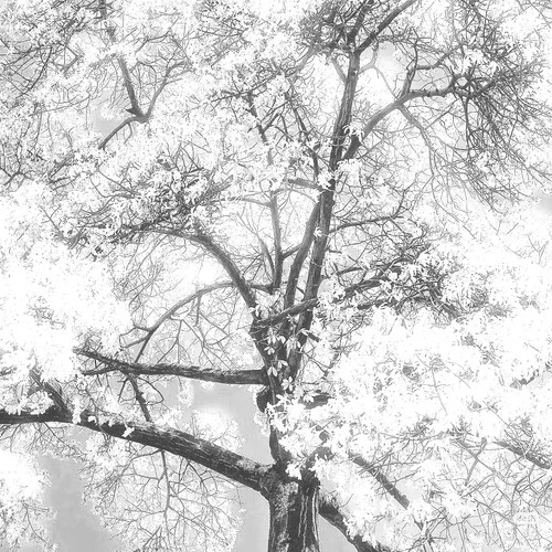 Camera 1040g3k831ja2muje34e05osf4h4nje8bnnt20o0.jpg