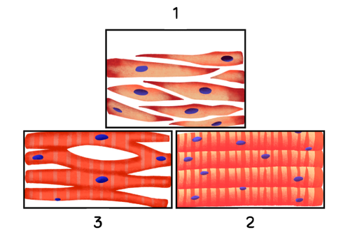 Cuplikan layar 2025 10 01 230533.png