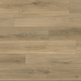 Monsoon Coast