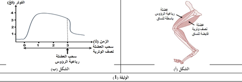 screenshot 1759334539639.png